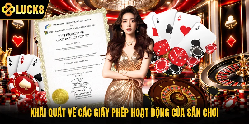 Khái quát về các giấy phép hoạt động của sân chơi