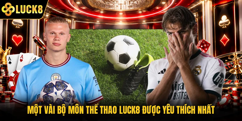 Một vài bộ môn thể thao Luck8 được yêu thích nhất