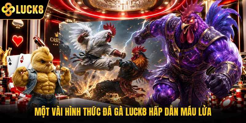 Một vài hình thức đá gà Luck8 hấp dẫn máu lửa